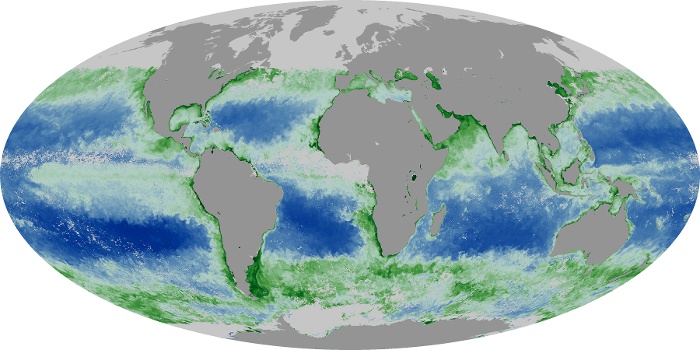 Global Map Chlorophyll Image 6
