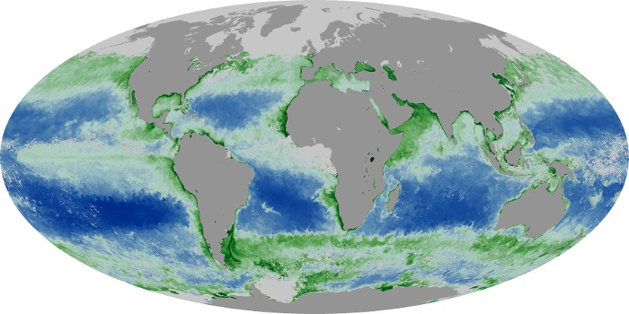 Global Map Chlorophyll Image 7