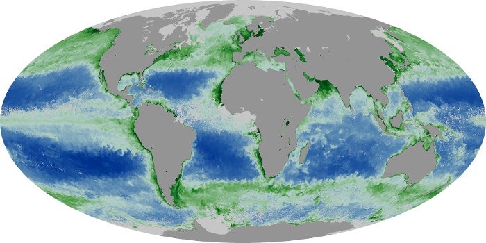 Global Map Chlorophyll Image 9
