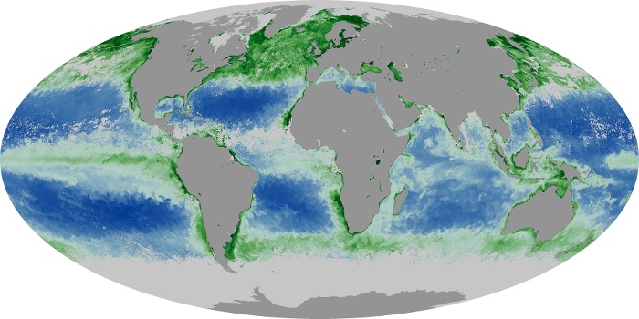 Global Map Chlorophyll Image 11