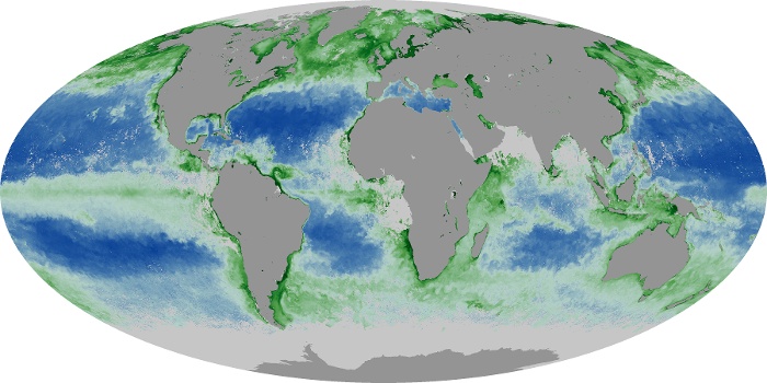 Global Map Chlorophyll Image 14