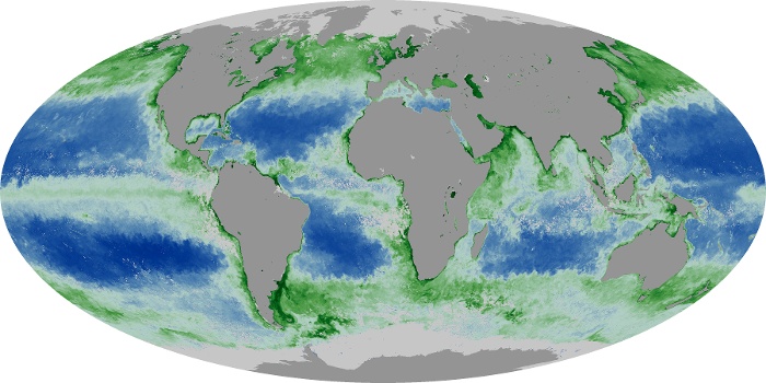 Global Map Chlorophyll Image 16