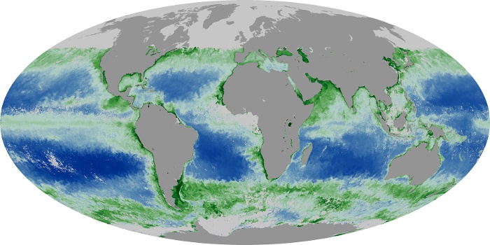 Global Map Chlorophyll Image 18