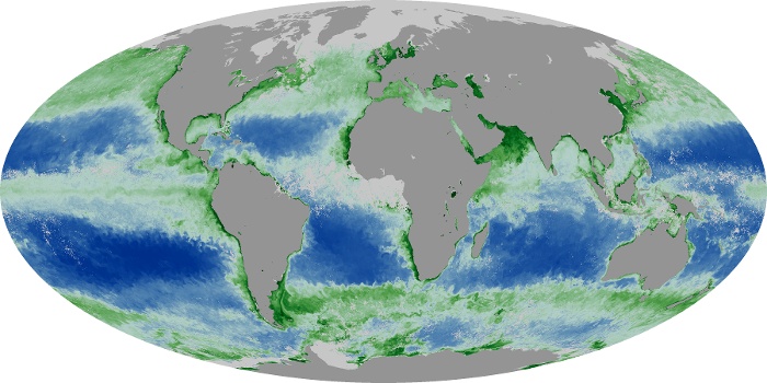Global Map Chlorophyll Image 20
