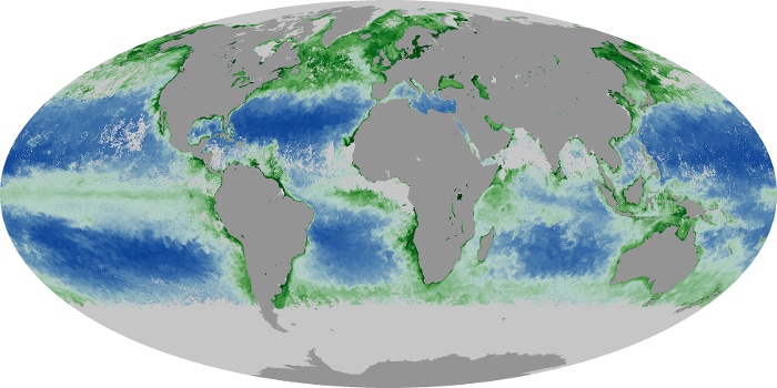 Global Map Chlorophyll Image 24