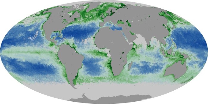 Global Map Chlorophyll Image 25