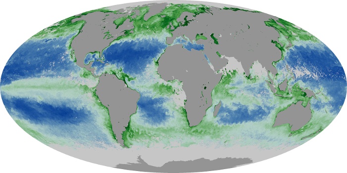 Global Map Chlorophyll Image 26