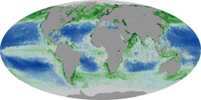 Global Map Chlorophyll Image 27
