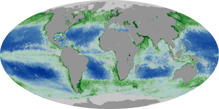 Global Map Chlorophyll Image 28