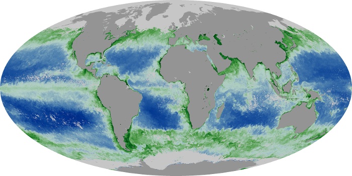 Global Map Chlorophyll Image 29