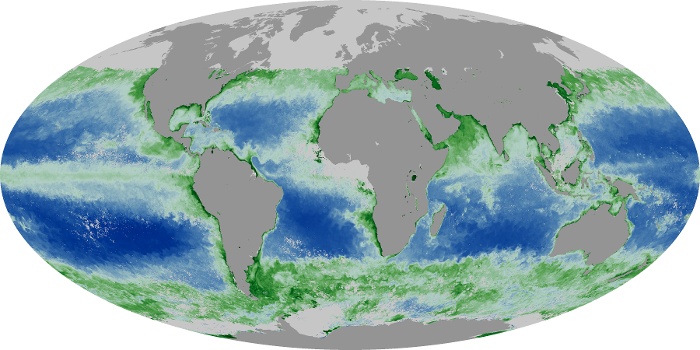 Global Map Chlorophyll Image 30