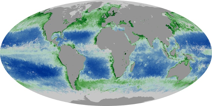 Global Map Chlorophyll Image 34