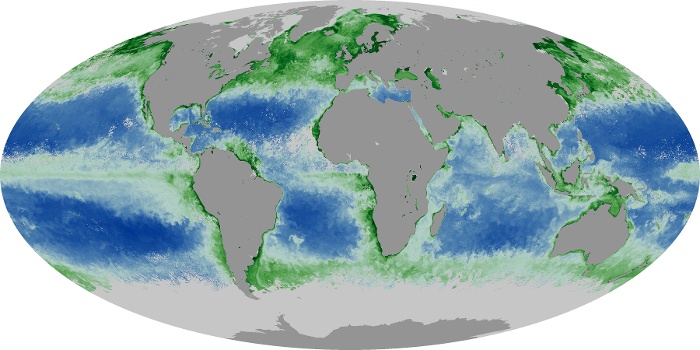 Global Map Chlorophyll Image 35