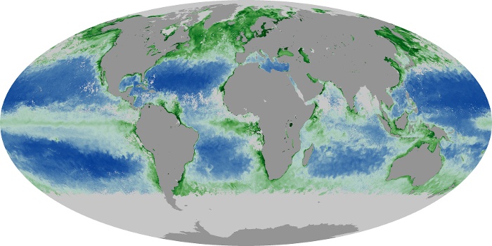 Global Map Chlorophyll Image 36