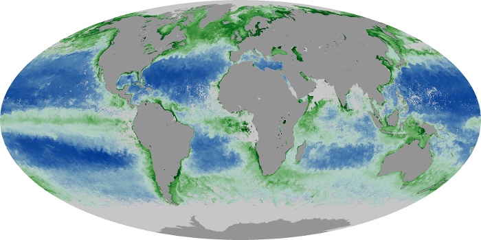 Global Map Chlorophyll Image 38