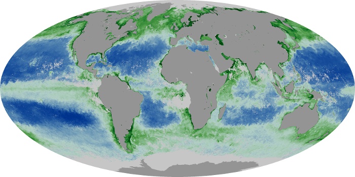 Global Map Chlorophyll Image 39