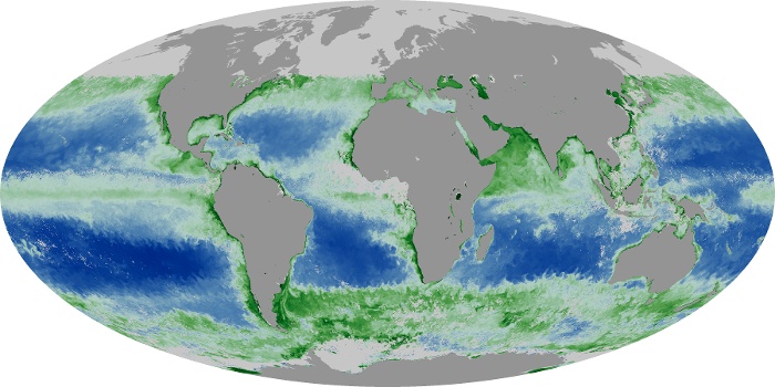 Global Map Chlorophyll Image 42