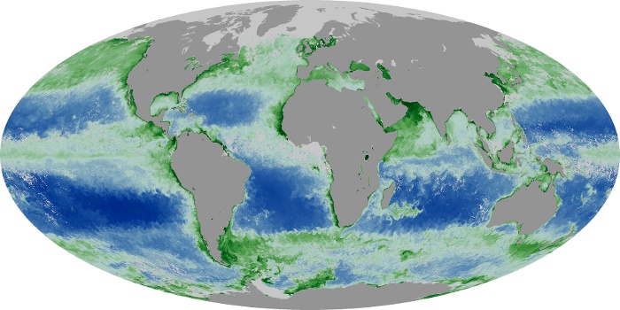 Global Map Chlorophyll Image 44