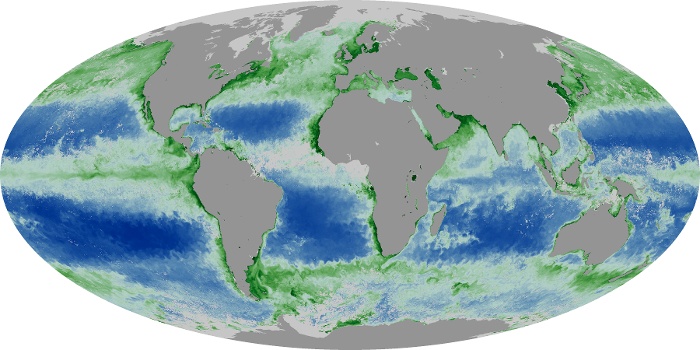 Global Map Chlorophyll Image 45