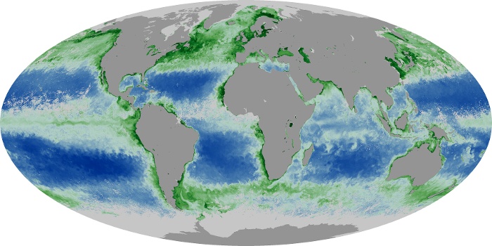 Global Map Chlorophyll Image 46