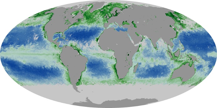 Global Map Chlorophyll Image 48