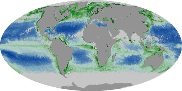Global Map Chlorophyll Image 49
