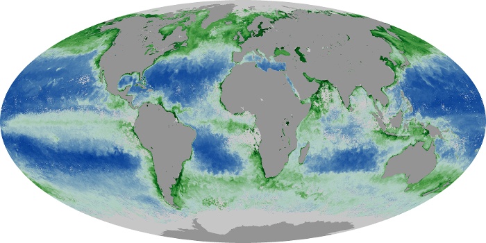 Global Map Chlorophyll Image 51