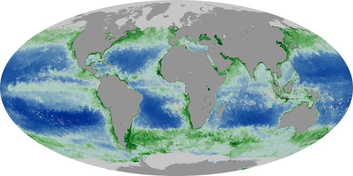 Global Map Chlorophyll Image 53
