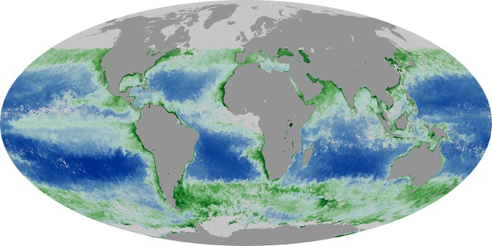 Global Map Chlorophyll Image 54
