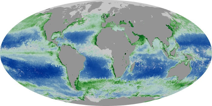 Global Map Chlorophyll Image 56