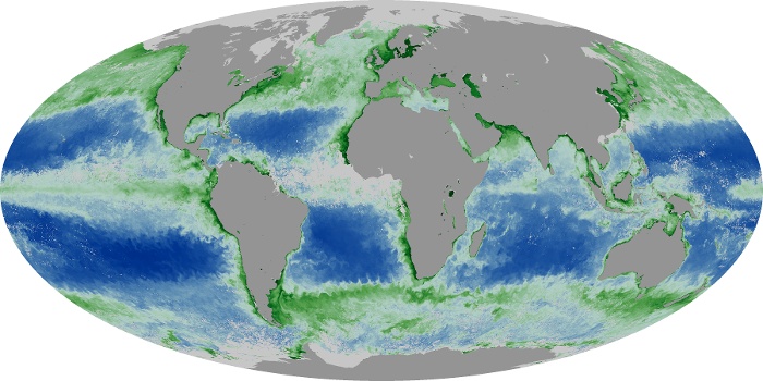 Global Map Chlorophyll Image 57