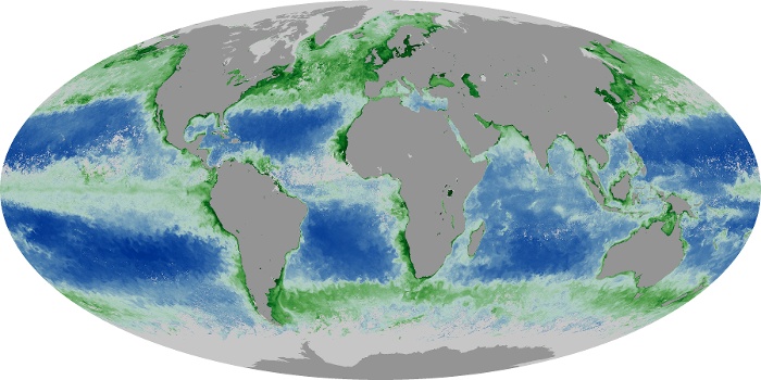 Global Map Chlorophyll Image 58