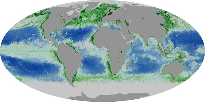 Global Map Chlorophyll Image 59