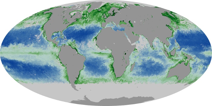 Global Map Chlorophyll Image 60