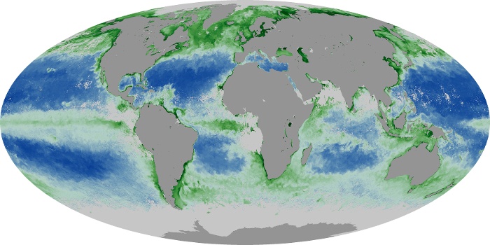 Global Map Chlorophyll Image 62