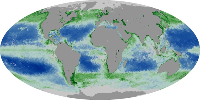 Global Map Chlorophyll Image 64