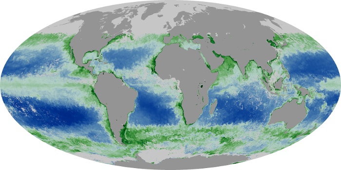 Global Map Chlorophyll Image 66