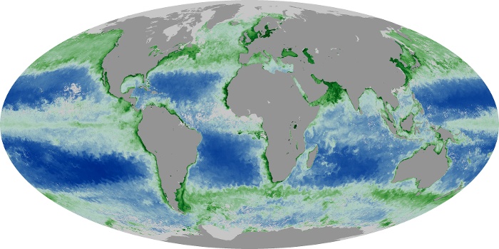 Global Map Chlorophyll Image 69