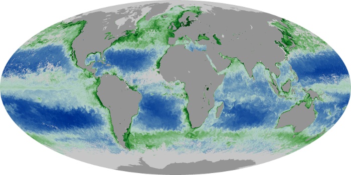 Global Map Chlorophyll Image 70