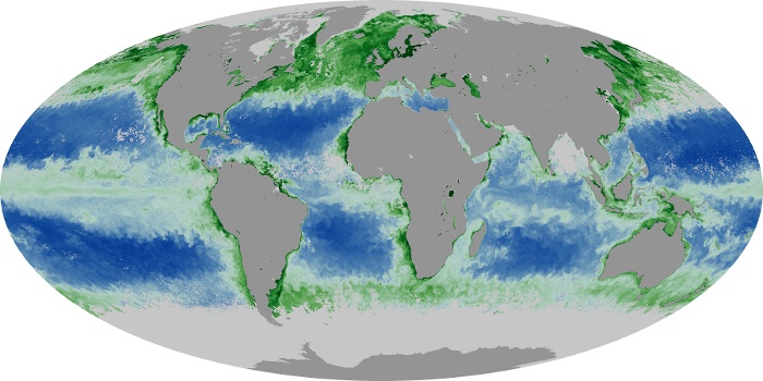 Global Map Chlorophyll Image 71