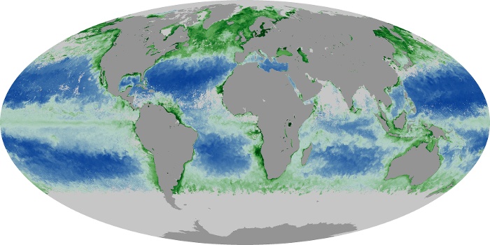 Global Map Chlorophyll Image 72