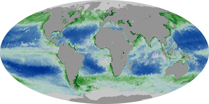 Global Map Chlorophyll Image 76