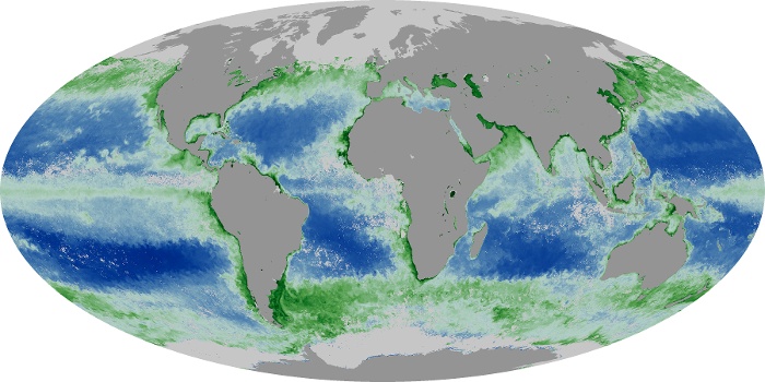 Global Map Chlorophyll Image 77