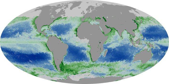 Global Map Chlorophyll Image 78