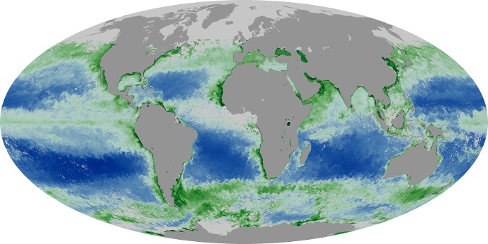 Global Map Chlorophyll Image 79