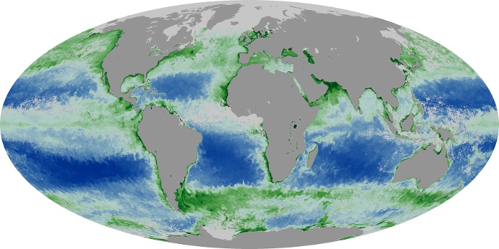 Global Map Chlorophyll Image 80
