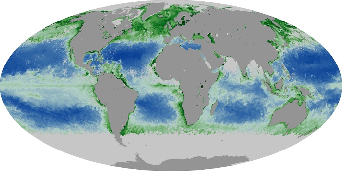 Global Map Chlorophyll Image 84