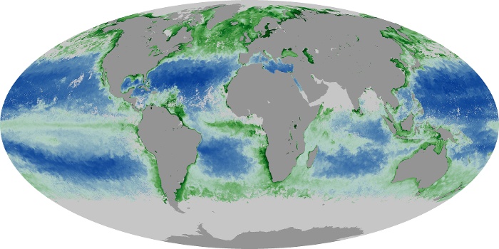 Global Map Chlorophyll Image 85