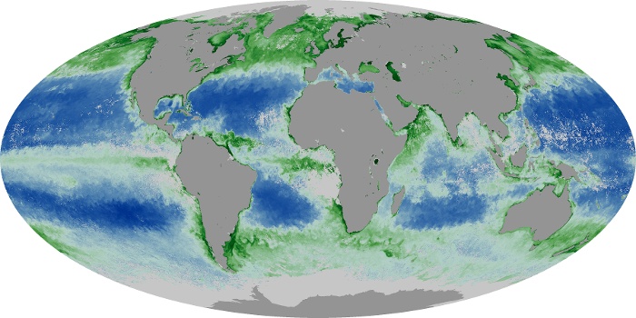 Global Map Chlorophyll Image 87