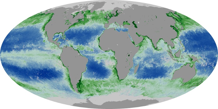 Global Map Chlorophyll Image 88